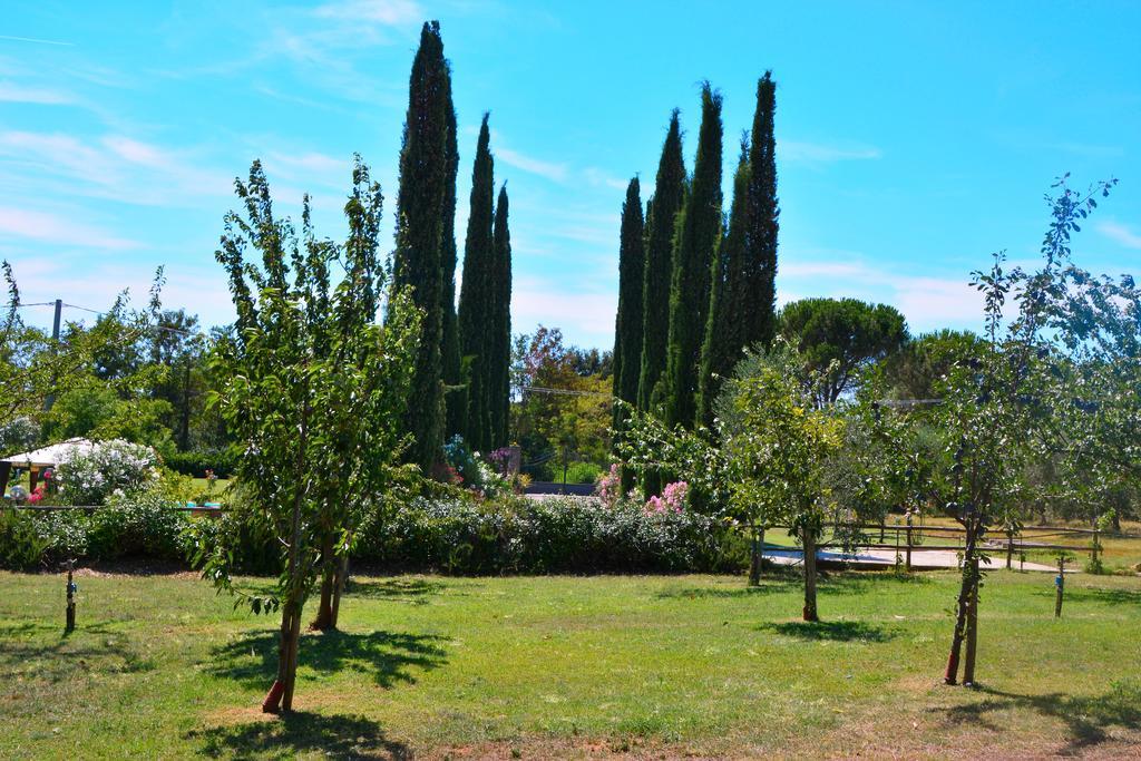 Agriturismo L'Aquilone Magliano in Toscana Dış mekan fotoğraf