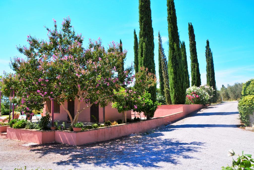 Agriturismo L'Aquilone Magliano in Toscana Dış mekan fotoğraf