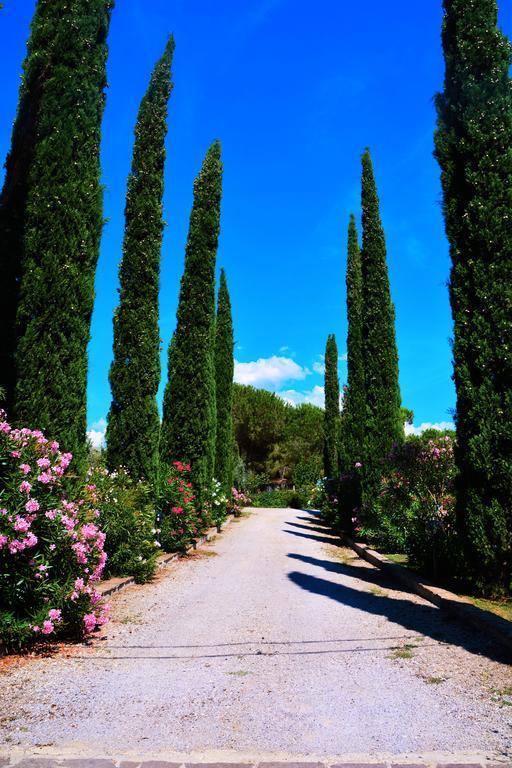 Agriturismo L'Aquilone Magliano in Toscana Dış mekan fotoğraf
