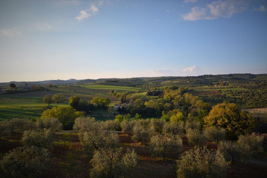 Agriturismo L'Aquilone Magliano in Toscana Dış mekan fotoğraf